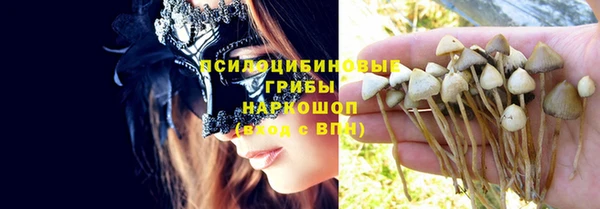 мдпв Беломорск