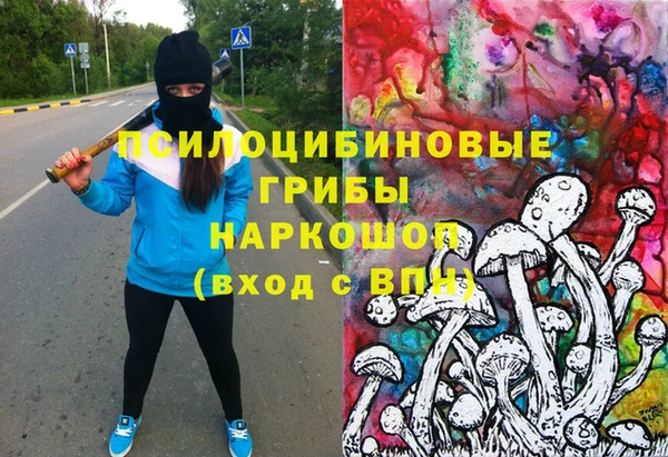 мдпв Беломорск
