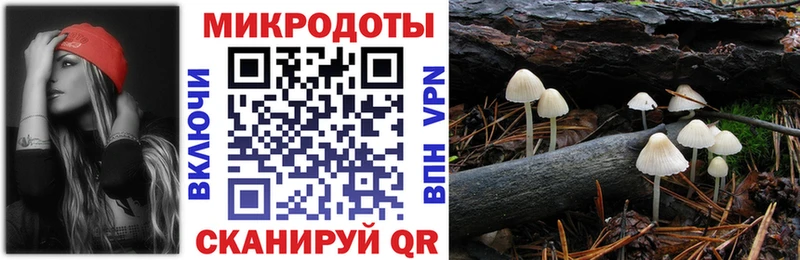 Купить Тында Псилоцибиновые грибы Psilocybine cubensis